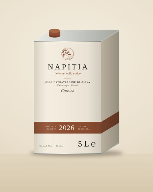 Napitia 2026 extra virgin olive oil, 5 L tin (mockup)